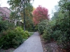 P1010237.JPG